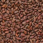 Cacao: Foto de Kristiana Pinne en Unsplash